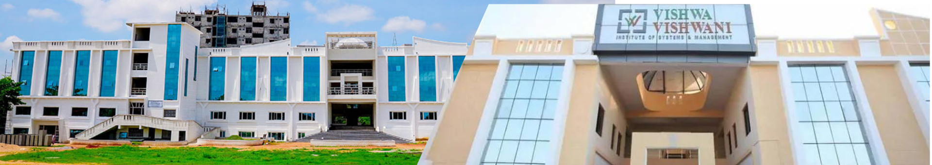Vishwa Vishwani Institute of Systems and Management , Hyderabad